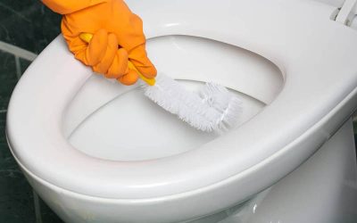 Nettoyer Vos Toilettes Avec Une Méthode Simple Et Naturelle