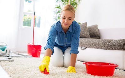 Les Secrets D’un Nettoyage Pour Un Tapis À Poils Longs