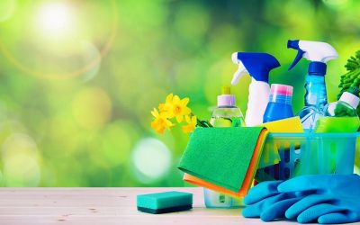 Un Guide Simple Pour Le Nettoyage Écologique Et Sain Chaque Jour