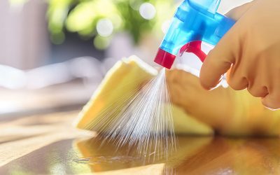 Les Secrets Pour Entretenir Et Protéger Un Plan De Travail En Bois Durablement